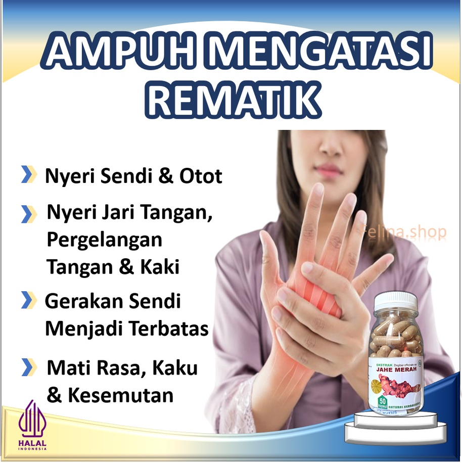 

jahe merah obat rematik paling ampuh nyeri otot sendi lutut kesemutan dan kebas isi 50 kapsul