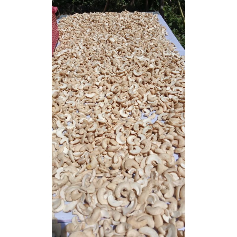 

kacang Mede belah 2 mentah kering