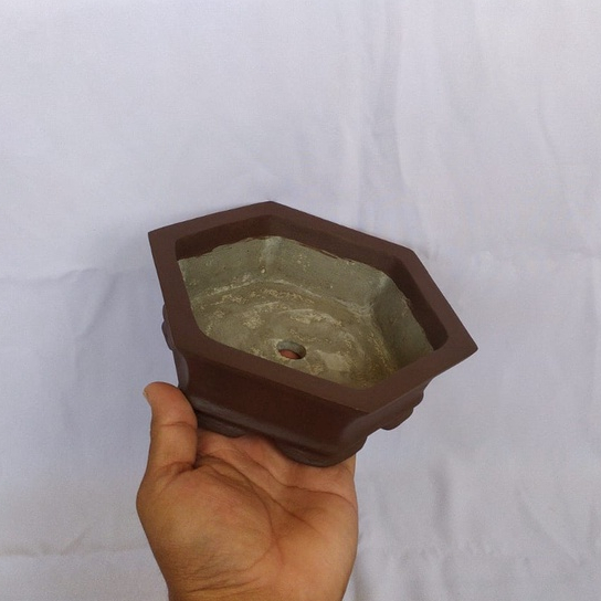 Pot Bonsai Segi Enam D20CM Pot Semen Berkwalitas Pot Tanaman Pot Murah
