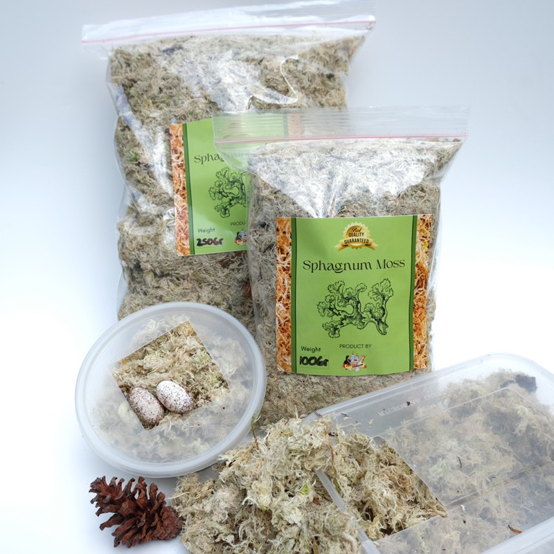 Spagnum Moss / Spagnum Moss Reptil