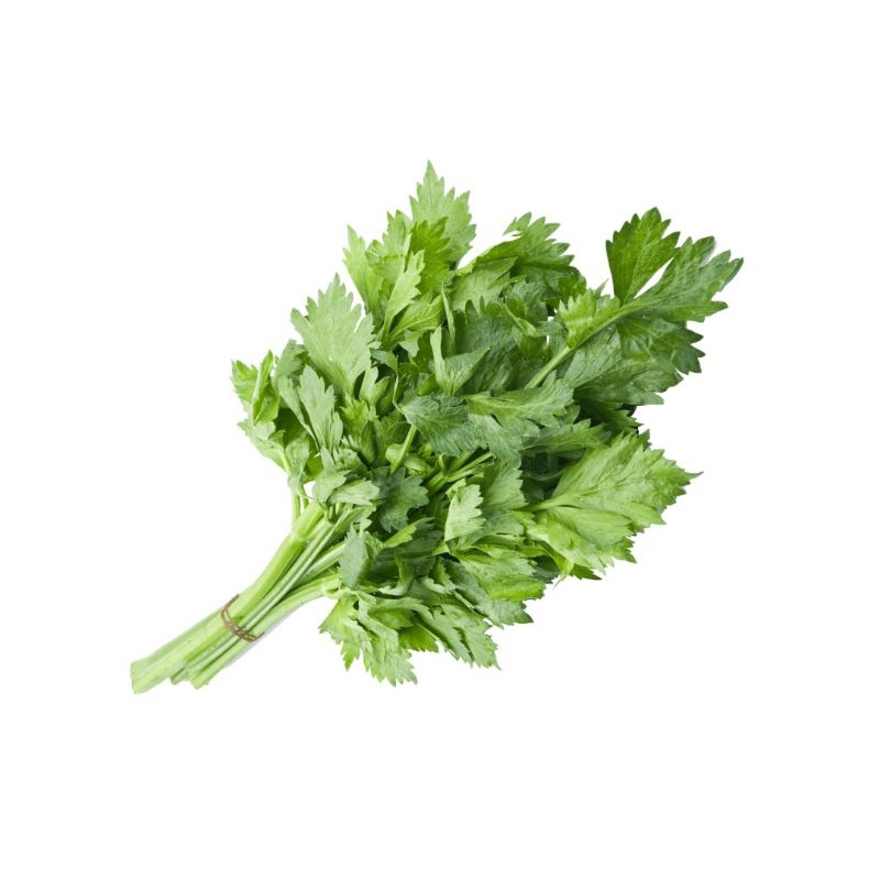 

Daun Seledri (Celery) Sayur Lokal