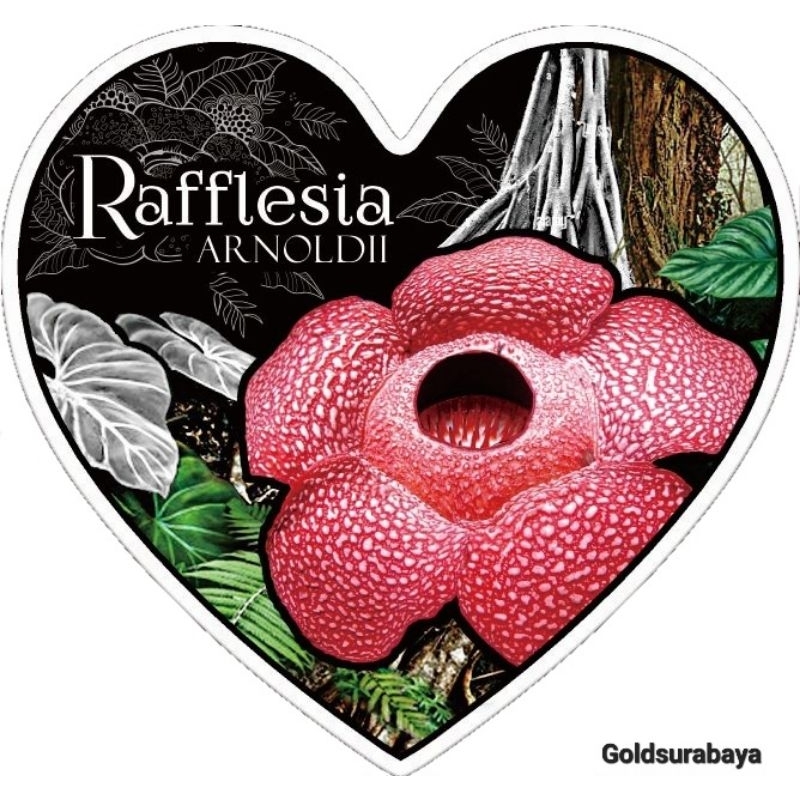 Koin Perak iSilver Rafflesia Arnoldii Coloured 25gr Silver not antam srh nadir pamp