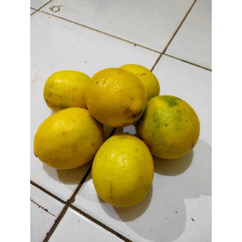 

jeruk lemon California