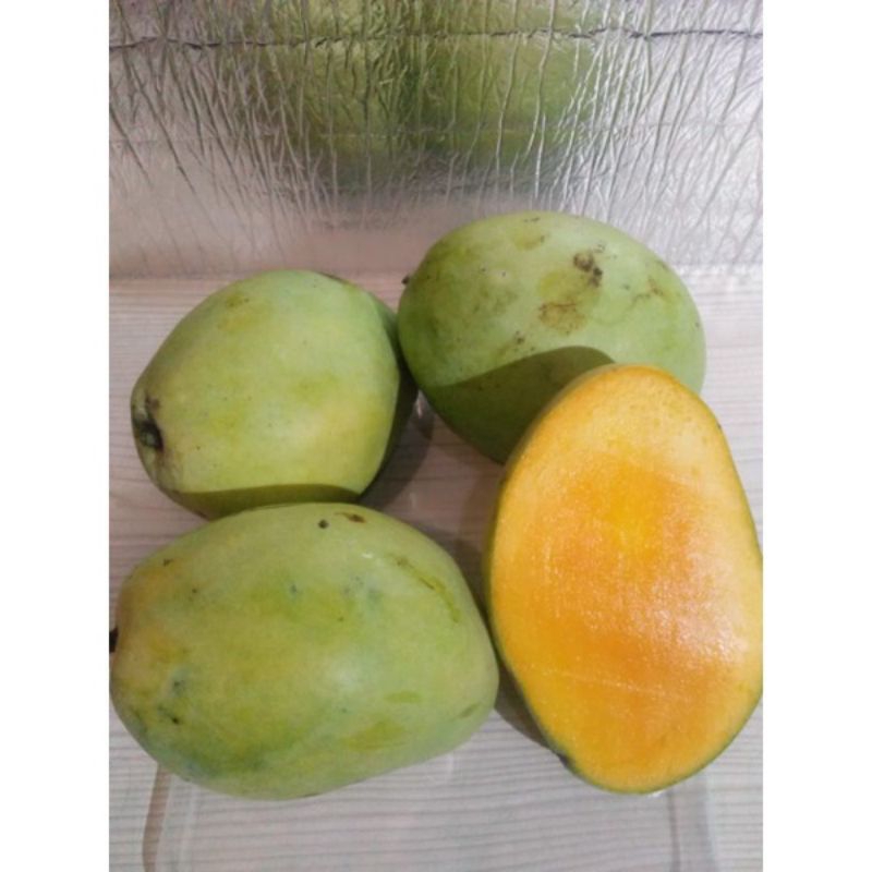 

Mangga cengkir matang 1KG,buah mangga cengkir matang buah segar bandung