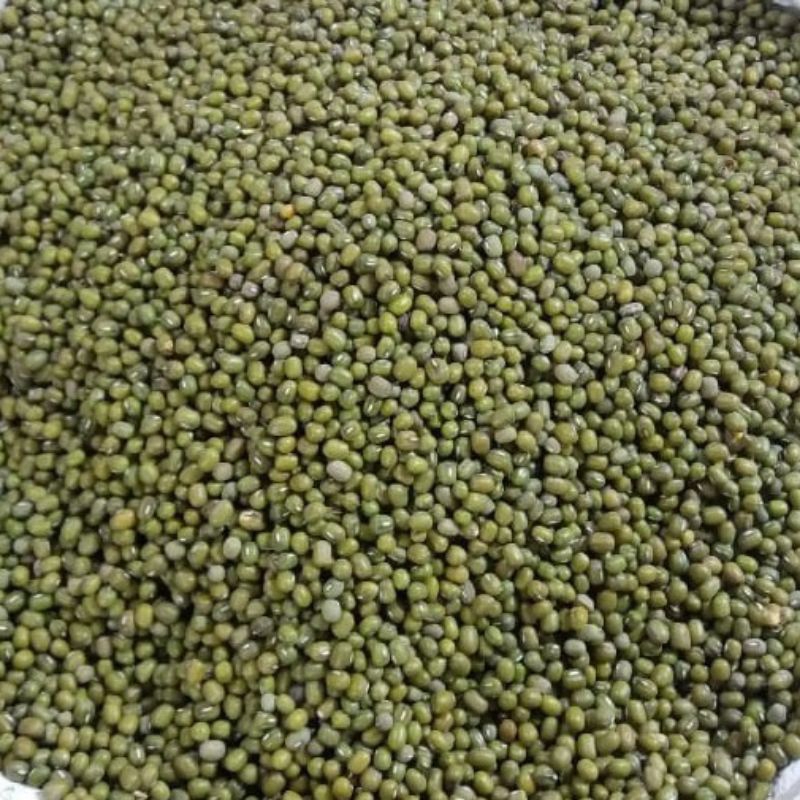 

kacang hijau/kacang ijo 500 gram