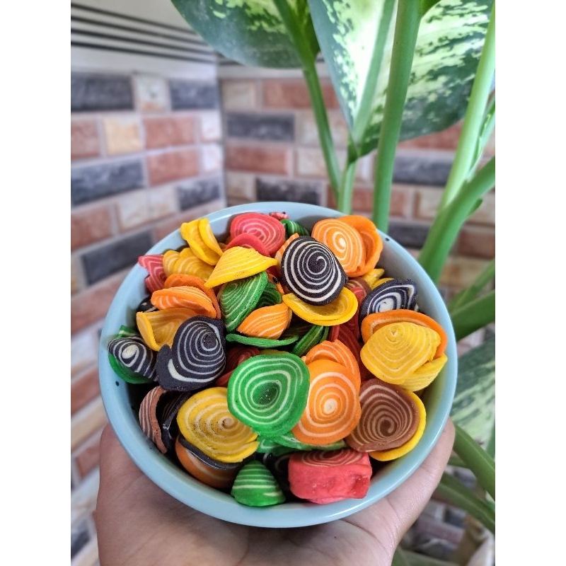 

KUPING GAJAH PELANGI