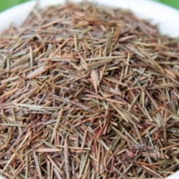

MURAH JUNG RAHAP KERING/BAECKEA FRUTESCENS HERBAL 250 GRAM