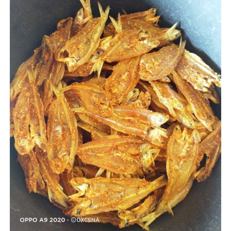 

Ikan kering dendeng rasa sedap manis gurih di jamin mantul..