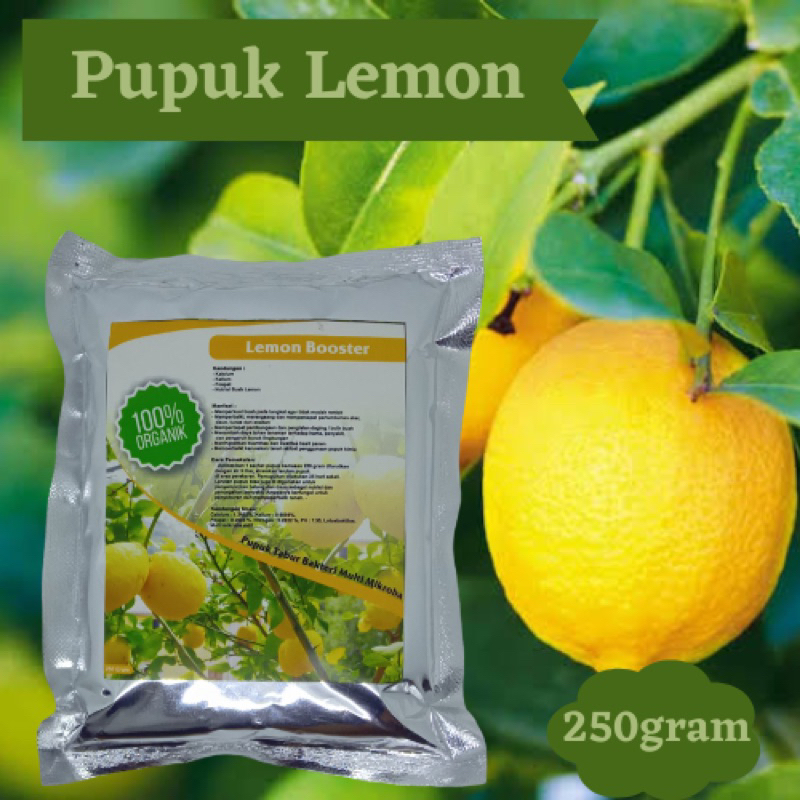 Pupuk organik buah lemon penyubur tanaman lemon agar mudah berbuah dan tidak rontok