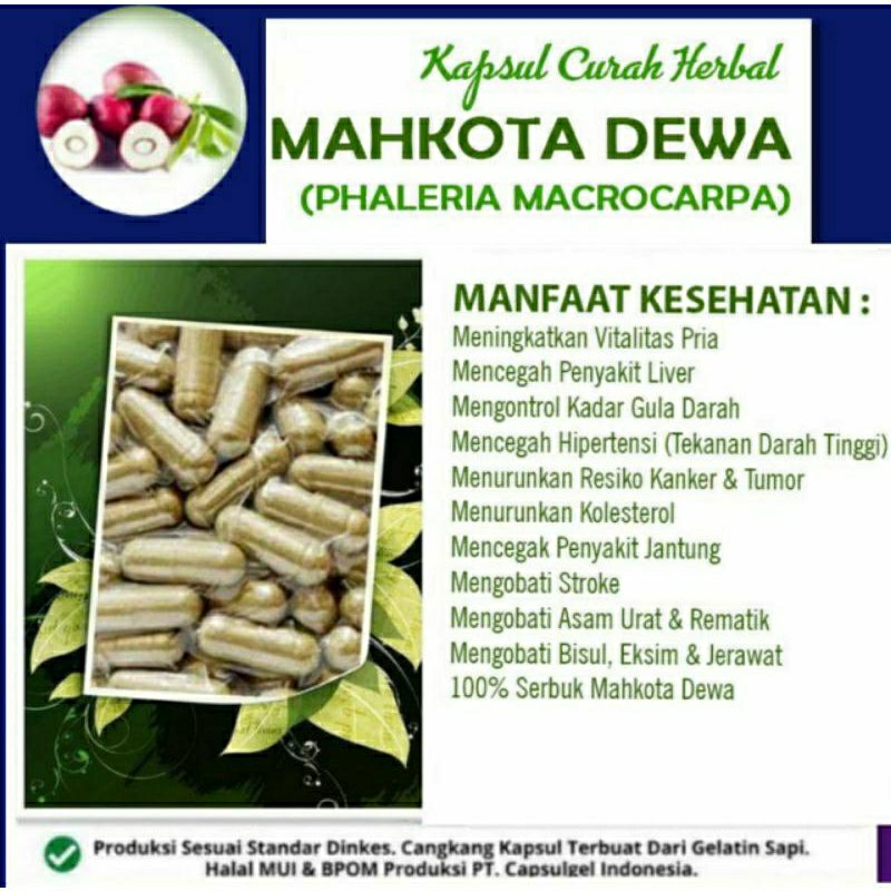 

MAHKOTA DEWA 100 KAPSUL OBAT HERBAL ALAMI (GRADE A5)