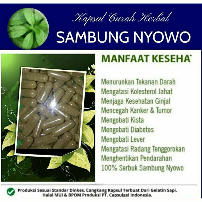 

SAMBUNG NYOWO 100 KAPSUL OBAT HERBAL ALAMI (GRADE A5)