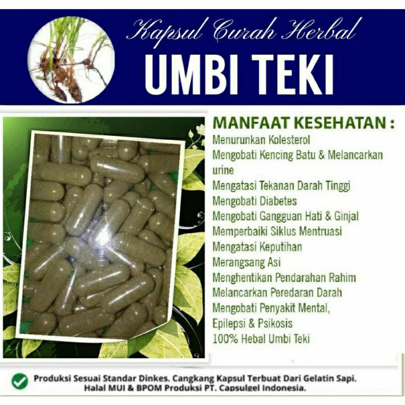 

UMBI TEKI 100 KAPSUL OBAT HERBAL ALAMI (GRADE A5)