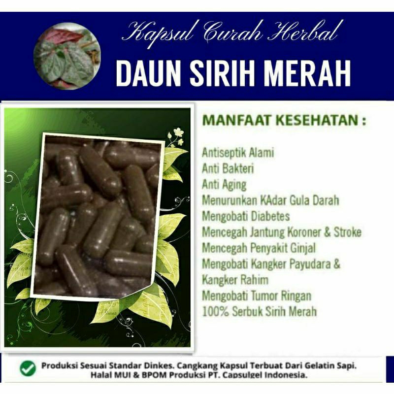 

DAUN SIRIH MERAH 100 KAPSUL OBAT HERBAL ALAMI (GRADE A5)