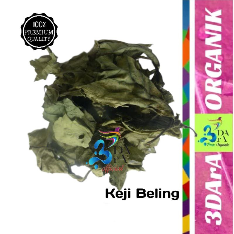 

Daun Keji Beling Kering 1kg Asli Tanpa Campuran