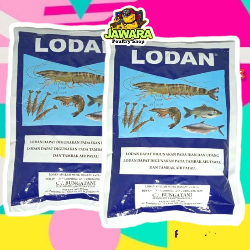 LODAN Peningkat Bobot Udang Bandeng Ikan 500 Gram