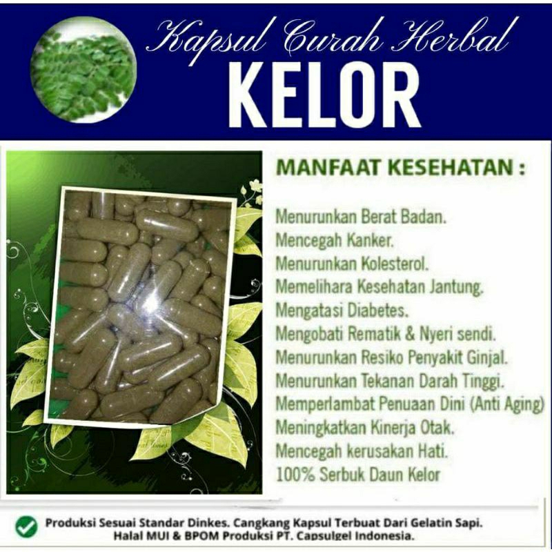 

KELOR 100 KAPSUL OBAT HERBAL ALAMI (GRADE A5)