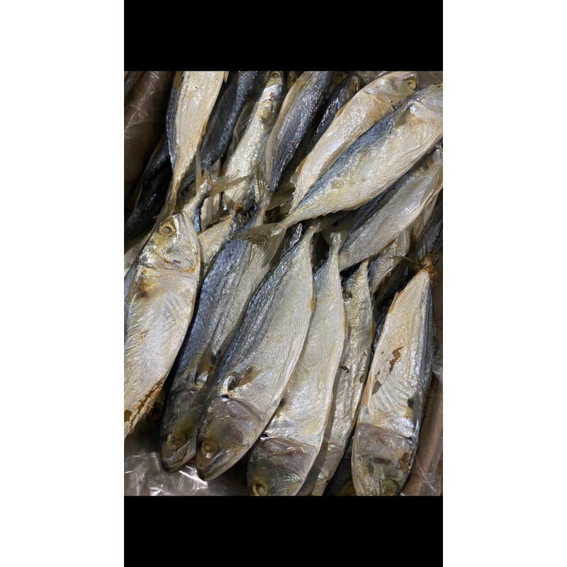 

IKAN ASIN PEDA PUTIH