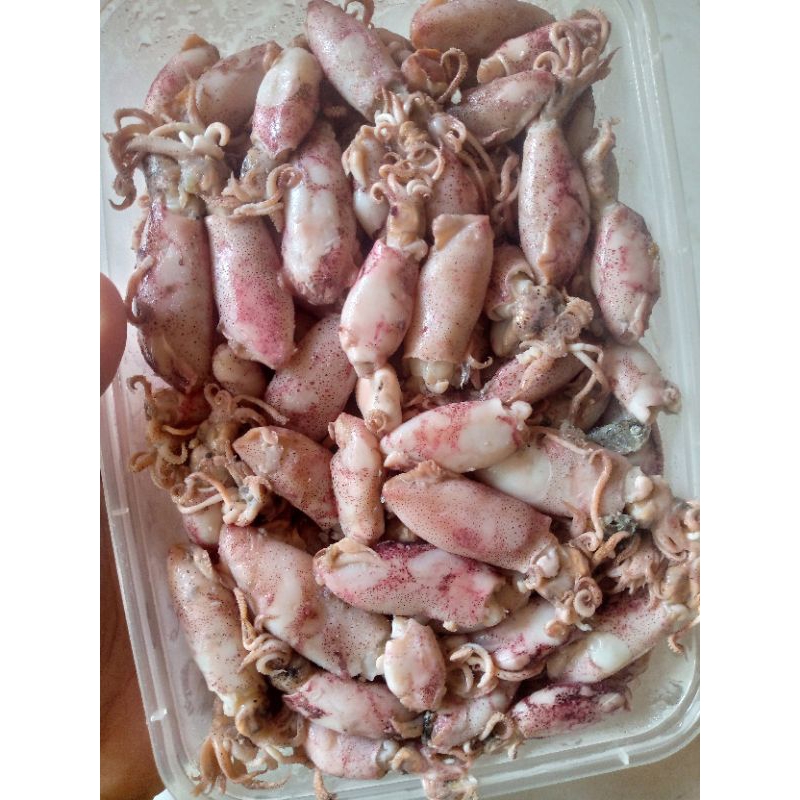 

cumi rebus asin 500 gr