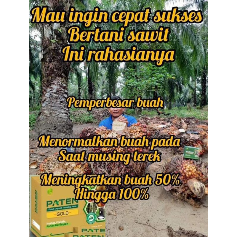 Paten Gold