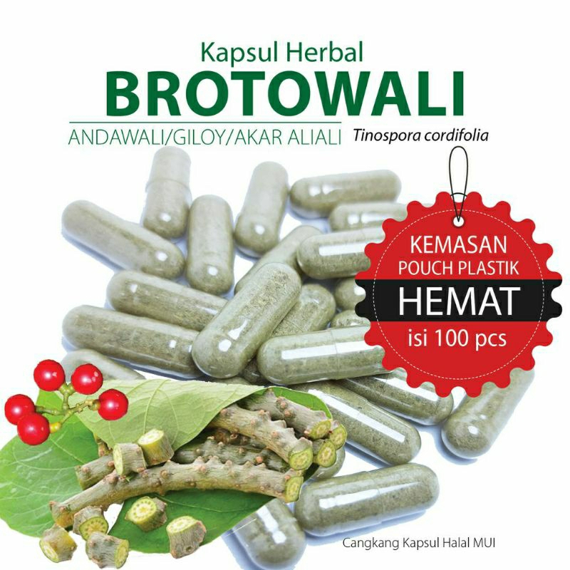 

BROTOWALI 100 KAPSUL OBAT HERBAL TERBAIK (GRADE A5)
