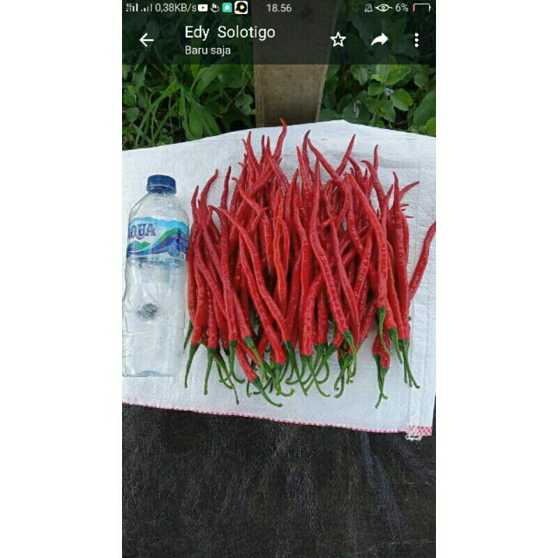 

cabe keriting merah/kg