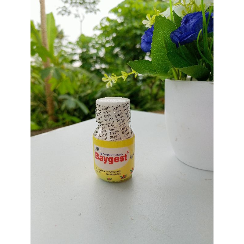 ZPT BAYGEST ZAT PENGATUR TUMBUHAN