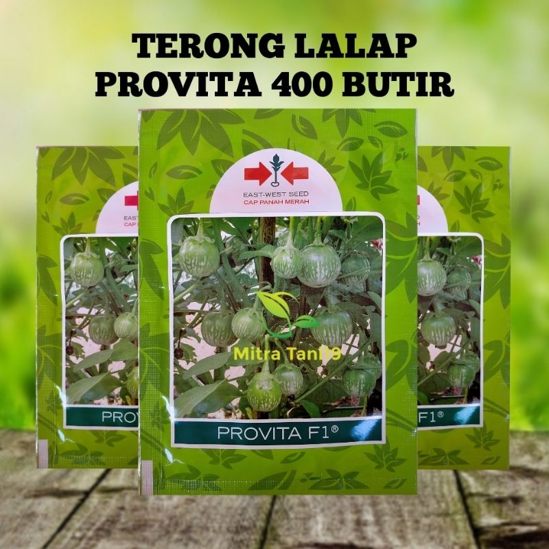 CAP PANAH MERAH BENIH BIBIT TANAMAN TERONG LALAP HIJAU PROVITA SP 400 BUTIR
