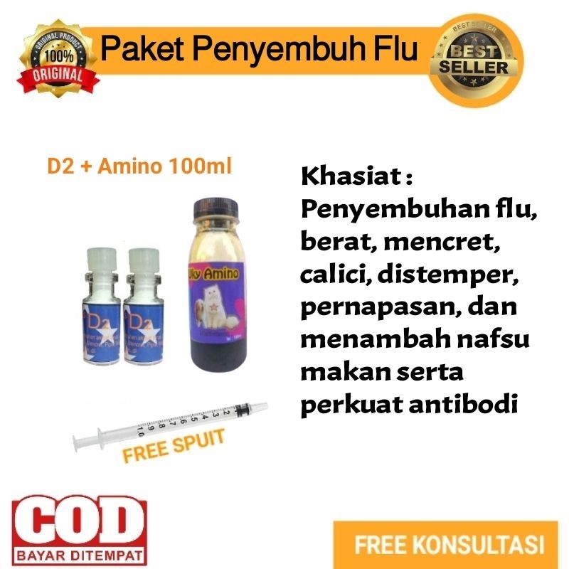 Vitamin Kucing Sakit Flu atau Flu Berat Vitamin Kucing Nafsu Makan dan Obat Flu