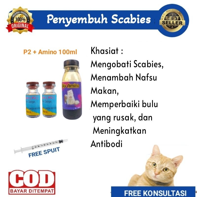 Vitamin Kucing Scabies Obat Kucing Scabies Vitamin Scabies Kucing Obat