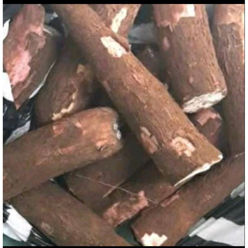 

Singkong / Ubi Singkong 1KG Fresh