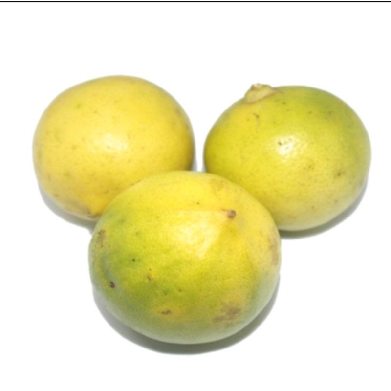 

Jeruk Lemon