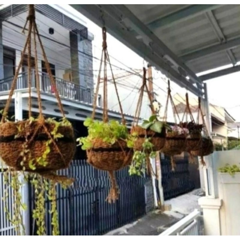 pot sabut kelapa besar sabut kelapa gantung