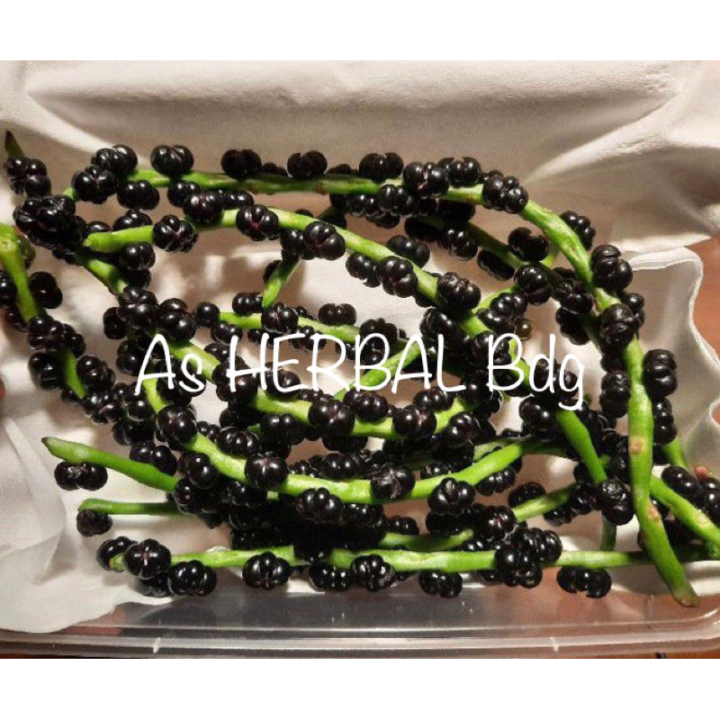Buah angkung segar / biji buah angkung fresh / herbal stroke organik