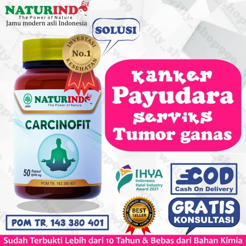 kanker serviks kanker payudara obat tumor payudara tumor otak tumor jinak obat kanker tumor payudara