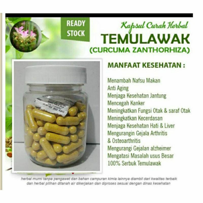 

TEMULAWAK 100 KAPSUL OBAT HERBAL TERBAIK (PREMIUM QUALITY)
