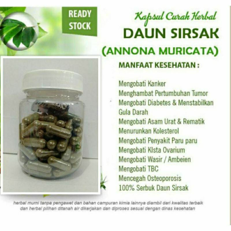 

DAUN SIRSAK 100 KAPSUL OBAT HERBAL TERBAIK (PREMIUM QUALITY)