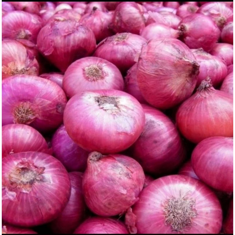 bawang peking 1 kg bawang merah pilihan