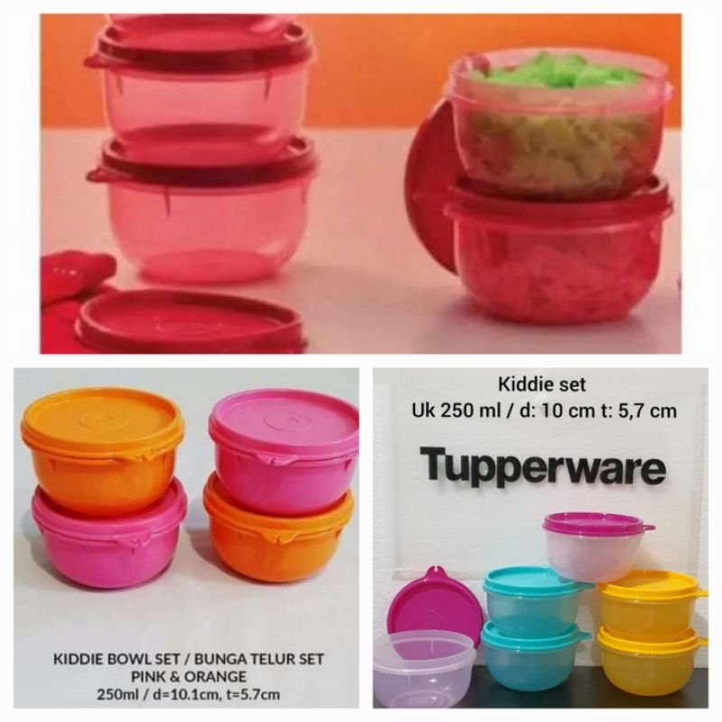 Tupperware kiddie bowl (1 pcs)