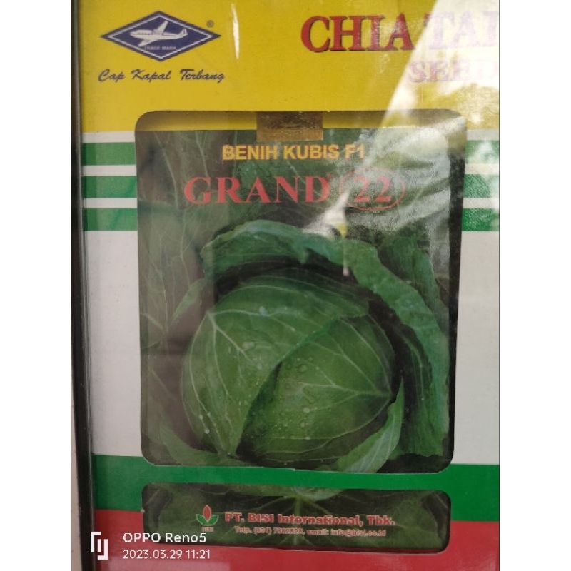 Benih kubis GRAND 22