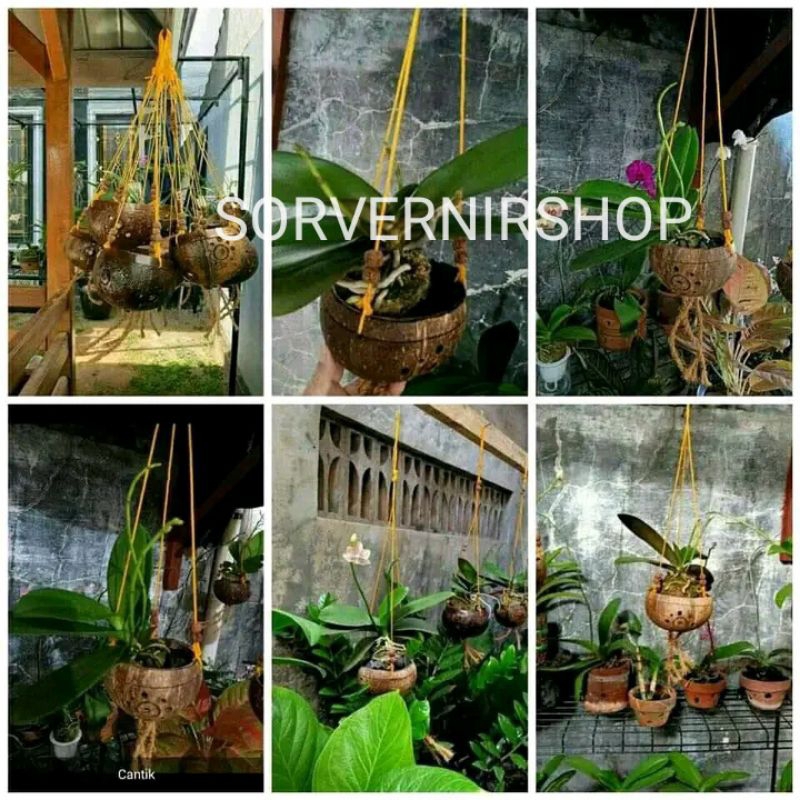 Pot batok tempurung kelapa ukir gantung