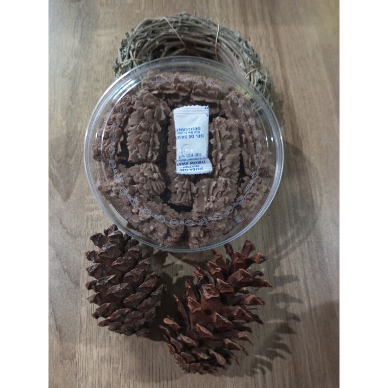 

SAGU COKLAT KUKER