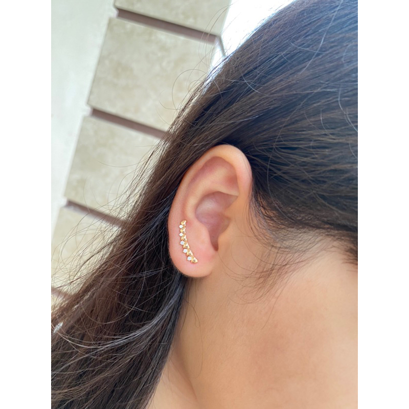 anting daun telinga