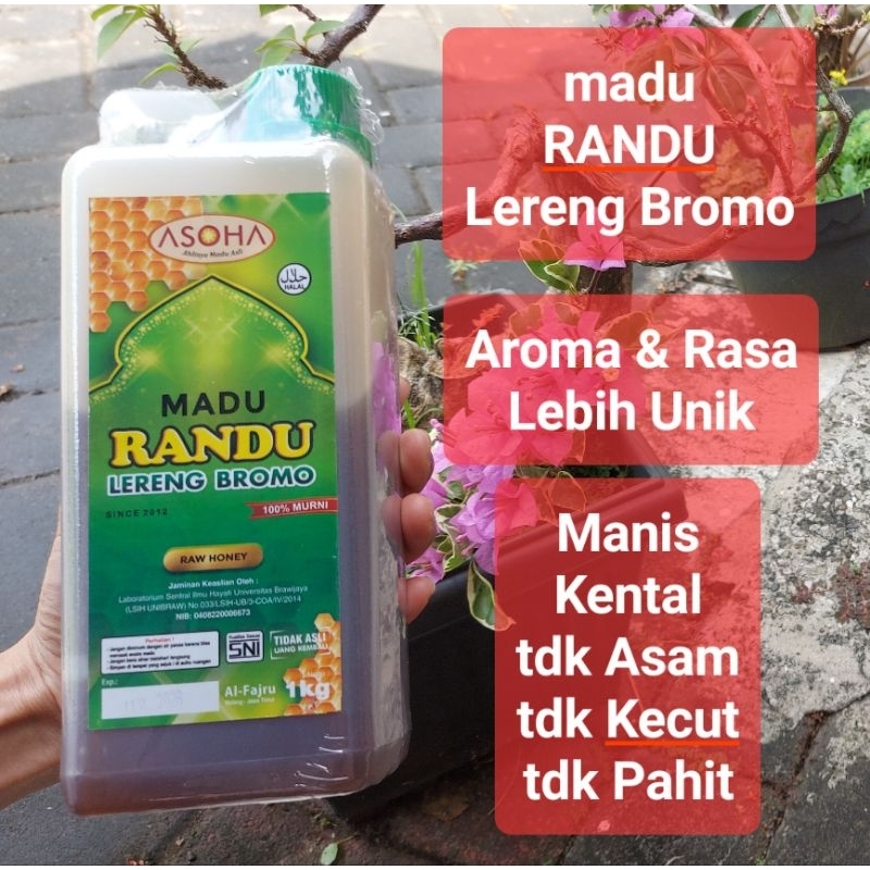

Korzaln Asoha Madu Randu Bromo 1Kg Asli Murni Full Nektar Randu Obati Asam Lambung