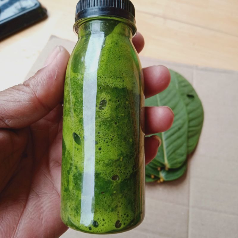 Salep Kulit Daun Ketepeng GRATIS daun ketepeng segar