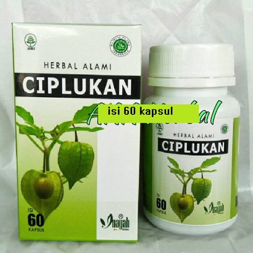 

Ciplukan - Kapsul Daun Ciplukan Inayah