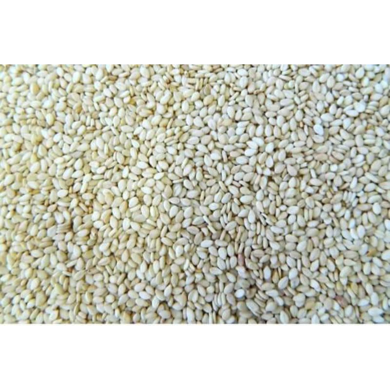 wijen / sesame seeds 100 / 50 gram