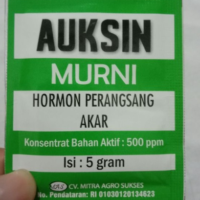 Hormon Auksin Murni Serbuk 5g