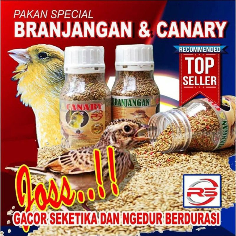 Pakan Branjangan & Canary Voer Pur Makanan Penggacor Burung Kicau