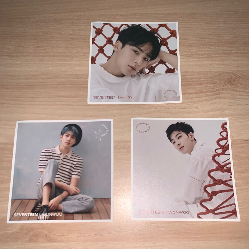 SEVENTEEN Fallin Flower 24H Entry Card Wonwoo Mingyu