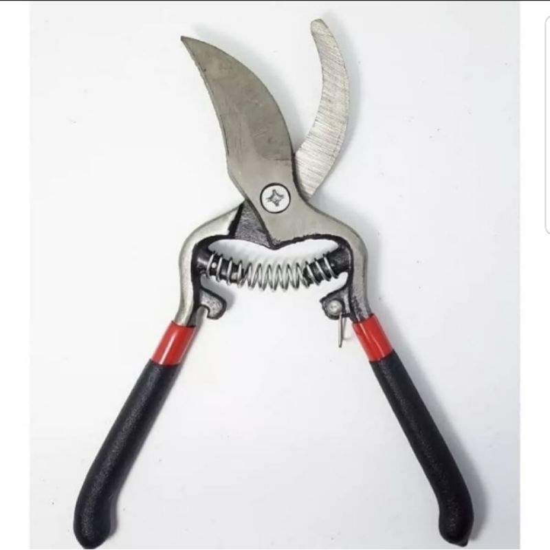 Gunting dahan / guntung taman palazzo gunting bengkok besi